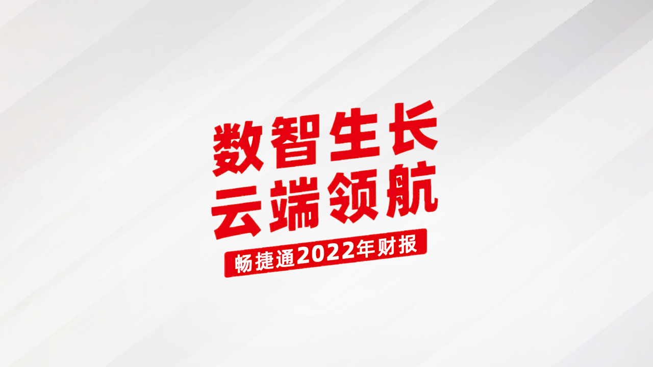 2022年财报